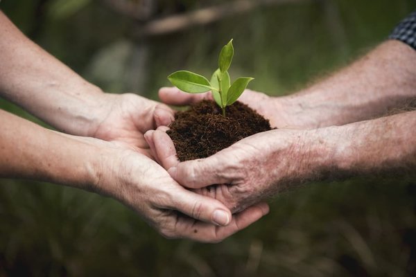 Quel est le meilleur moyen de conserver des herbes fraîches plus longtemps dans la cuisine ?